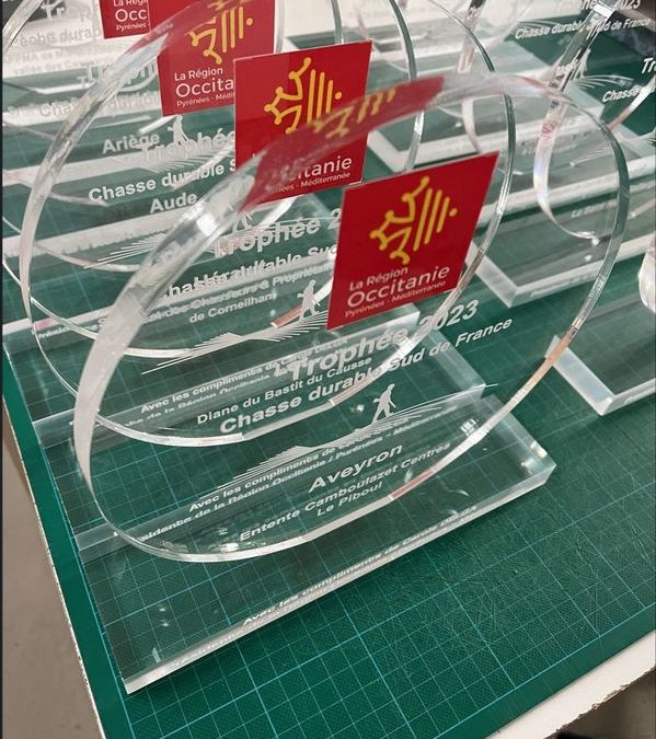 Fabrication et Personnalisation de Trophées PMMA pour la région Occitanie