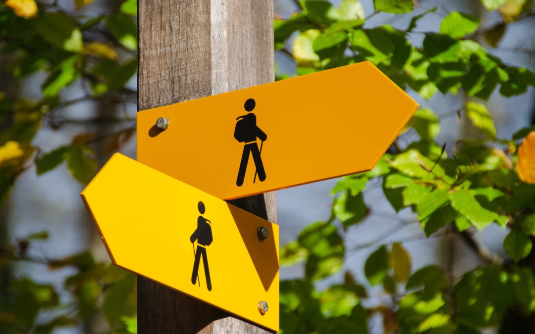 Comment Optimiser la Signalétique Intérieure et extérieure pour améliorer la lisibilité et visibilité ?