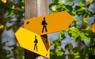 Comment Optimiser la Signalétique Intérieure et extérieure pour améliorer la lisibilité et visibilité ?