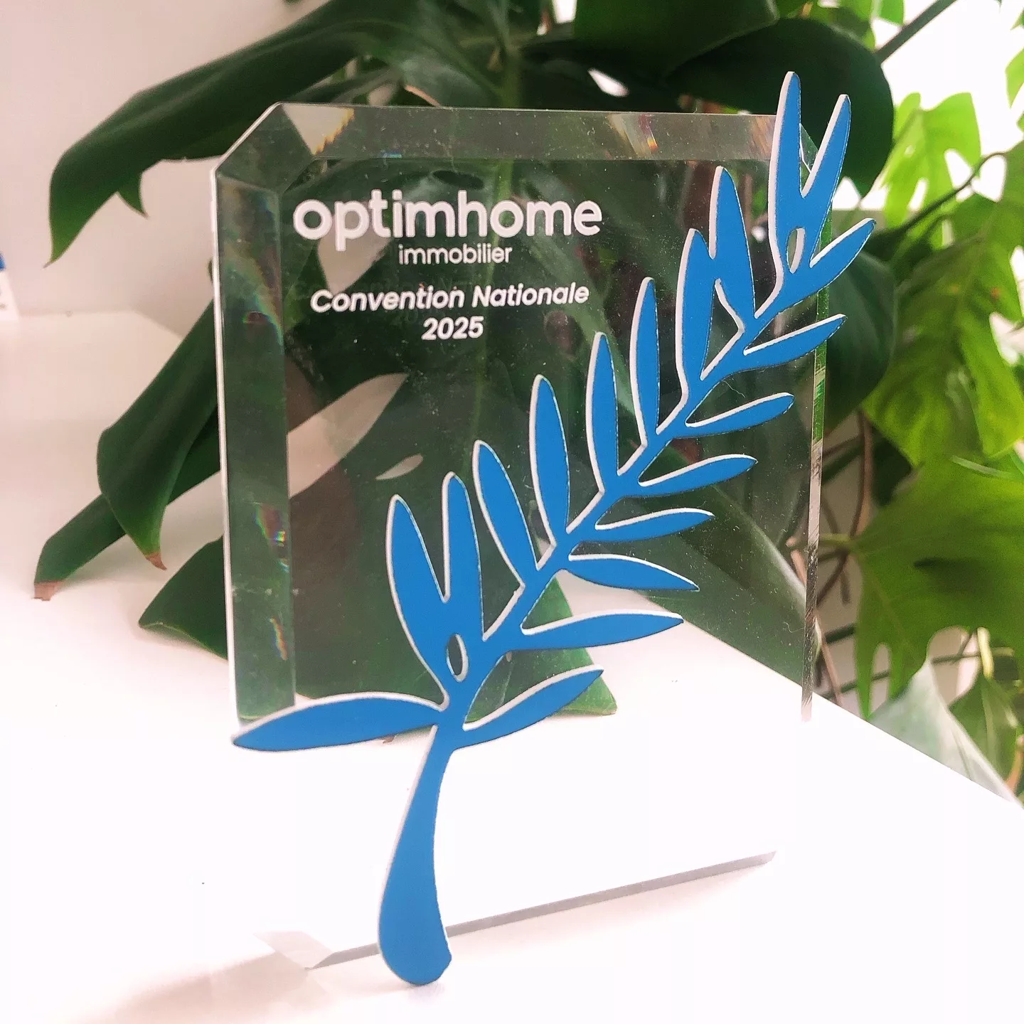 Tophée-pmma-sur-mesure-occitanie-solandis Trophée en pmma sur mesure avec gravure laser palme en acrylique de couleur