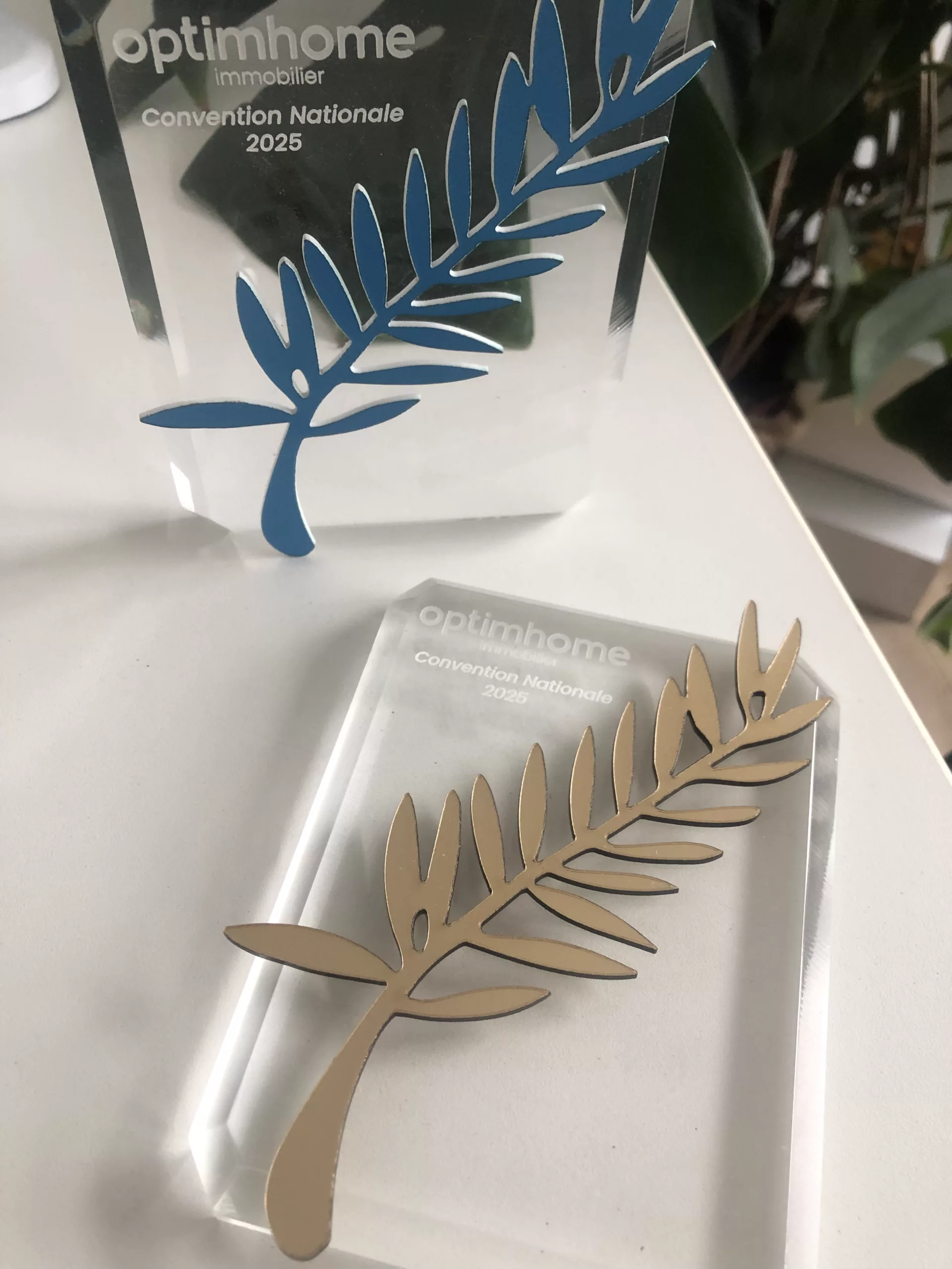 Usinage-trophée-en-pmma-sur-mesure Ensemble de trophée en pmma sur mesure personalisation bleu et doré